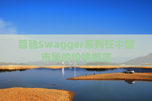 蔻驰Swagger系列在中国市场的价格概览