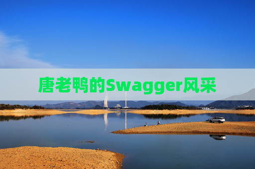 唐老鸭的Swagger风采